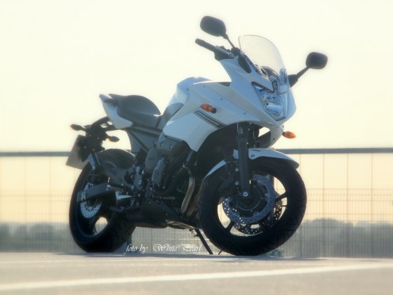 yamaha xj6 Diversion - meine weisse Diva "White Pearl"