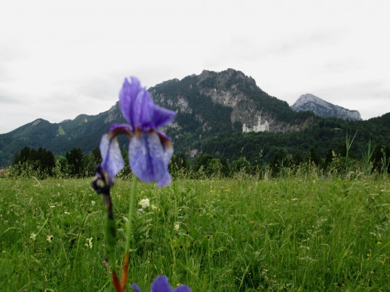 NeuSchwanstein